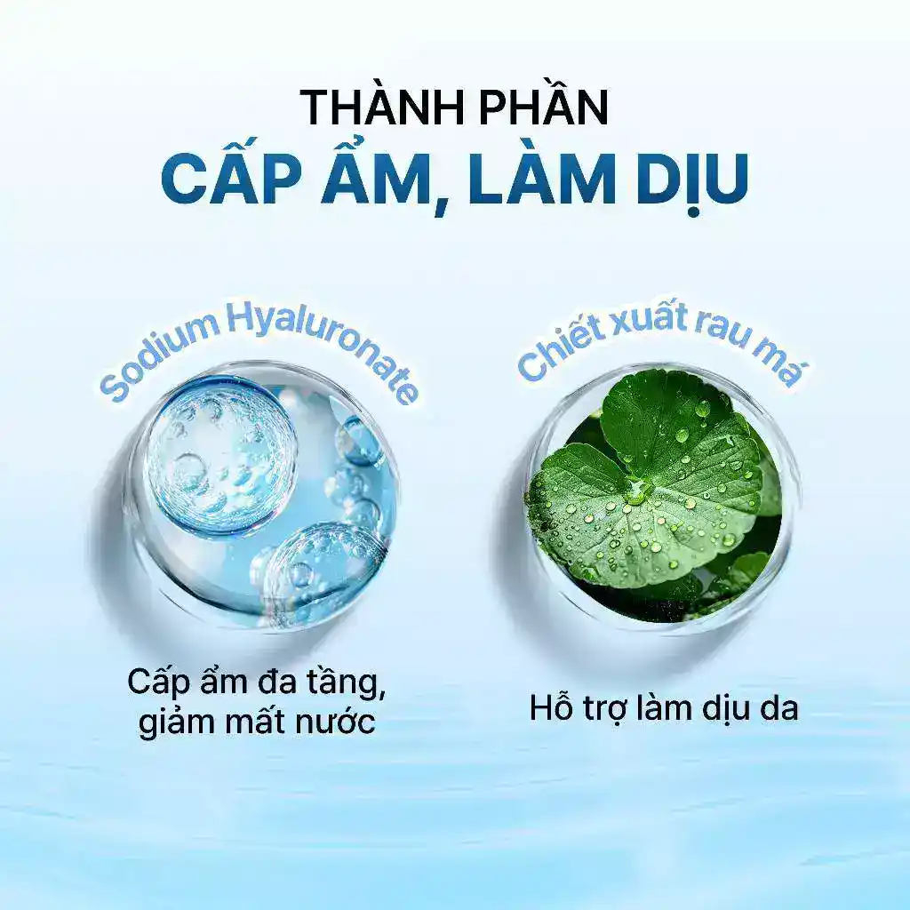 Thành phần serum dưỡng ẩm Klairs Rich Moist Soothing Serum Thành phần serum dưỡng ẩm Klairs Rich Moist Soothing Serum